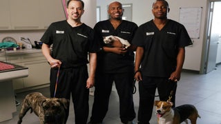 Animal Planet Greenlights Reality Series ‘Texas Vets’ (Exclusive)