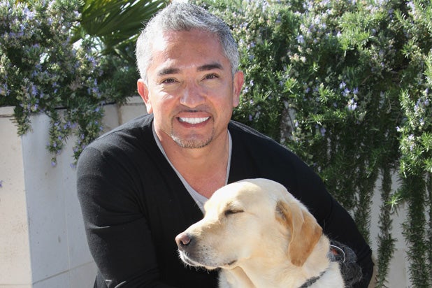 Cesar Milan Cesar Milan