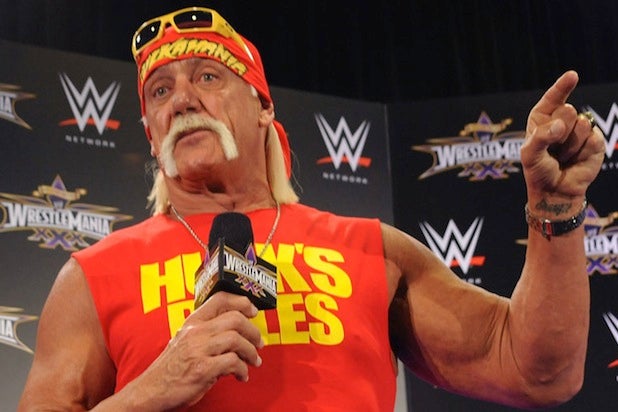 Hulk Hogan Hulkamania to Sex Tape (Photos)