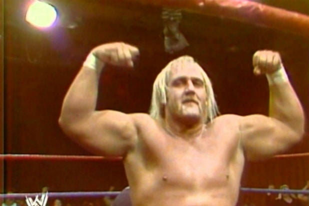 Hulk Hogan Hulkamania to Sex Tape (Photos)