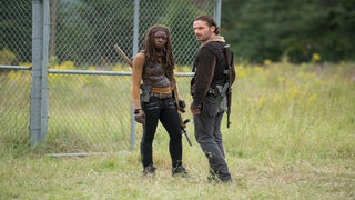 AMC Networks CEO Dumbs Down Ad Sales Pitch: ‘A Spot in ‘The Walking Dead’ Sells Stuff’