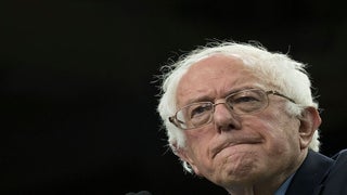 Bernie Sanders to Lay Off ‘Hundreds’ of Campaign Staffers