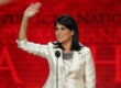 nikki haley donald trump