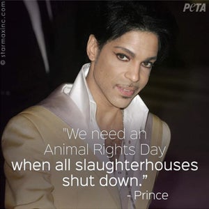 peta prince morrissey