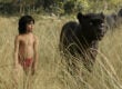 the jungle book Mowgli Bagheera