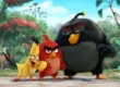 angry birds feat