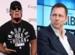 Hulk Hogan Peter Thiel