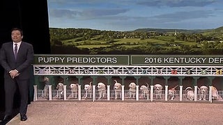 Jimmy Fallon Uses Puppies to Predict the 2016 Kentucky Derby Winner (Video)