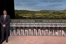 Jimmy Fallon Uses Puppies to Predict the 2016 Kentucky Derby Winner (Video)