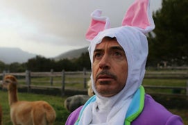 Robert Downey Jr In a Rabbit Suit Launches Meme Civil War (Photos)