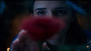 ‘Beauty and the Beast’ First Teaser: Emma Watson Finds Enchanted Rose (Video)