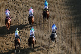 No Triple Crown as Exaggerator Wins Preakness Over Nyquist