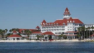Alligator Drags Toddler Into Lagoon at Disney Resort