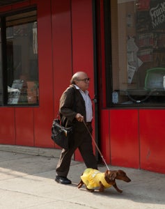 Wiener-Dog_DeVito.jpg