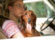 Wiener dog greta gerwig todd solondz