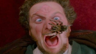 Daniel Stern Reunites With ‘Home Alone’ Co-Star – A Terrifying Spider (Video)