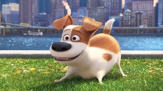Why ‘Secret Life of Pets’ Spells Good News for Original Ideas in Hollywood