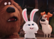 Secret Life of Pets
