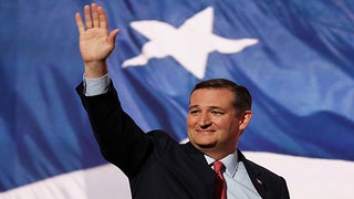 Ted Cruz Offered Free Lifetime Subscription to Reality Kings Porn After Twitter-Liking Their Video