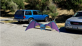 Pokemon Go Causes Distracted Driving, According to Study