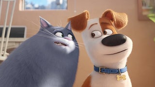 ‘The Secret Life of Pets’ Barrels Toward Big Opening With $38.3 Million on Friday