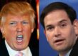 Donald Trump to Join Marco Rubio at Orlando Anti-LGBT Event on 2-Month Anniversary of Pulse