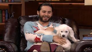 Watch ‘Suicide Squad’ Star Jared Leto Play With Puppies (Video)