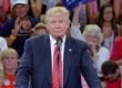 donald trump second amendment north carolina