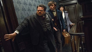 Does ‘Fantastic Beasts and Where to Find Them’ Have a Post-Credits Scene?