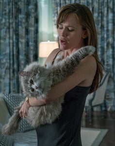 nine-lives_Garner