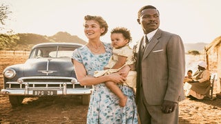 International Fare and Oscar Shorts Win at Specialty Box Office