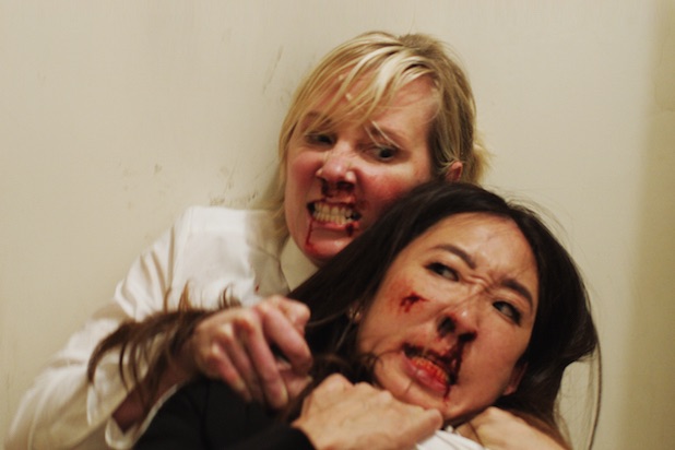 Catfight