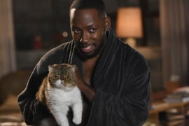 ‘New Girl’ Final Season Mystery: Does Furguson the Cat Die?