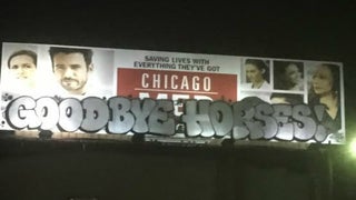This ‘Goodbye Horses’ Graffiti Will Delight ‘Silence of the Lambs’ Die-Hards (Photo)