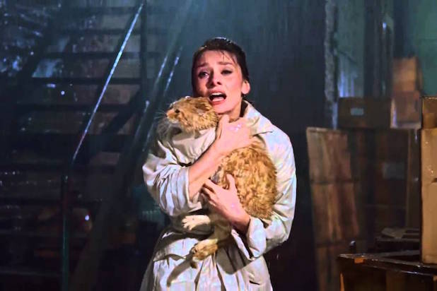 breakfast at tiffany's audrey hepburn cat breakfast at tiffany's audrey hepburn cat