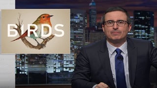John Oliver Has Simple Message for Birds: ‘F— You!’ (Video)