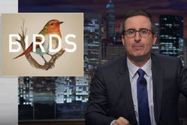 John Oliver Has Simple Message for Birds: ‘F— You!’ (Video)