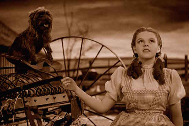 wizard of oz toto dorothy Judy Garland wizard of oz toto dorothy Judy Garland