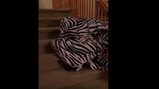 ‘Walking Dead’ Fan Can’t Stop Crying After Brutal Season Premiere (Video)