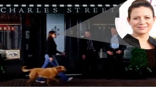 Departed Dog Immortalized in ‘Departed’ Role