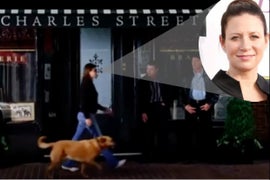 Departed Dog Immortalized in ‘Departed’ Role
