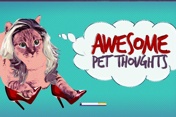 Awesome Pet Thoughts Jukin Media Comcast Watchable