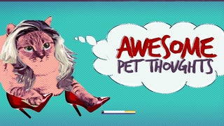 Jukin Media Launches ‘Awesome Pet Thoughts’ on Comcast’s Watchable (Exclusive)