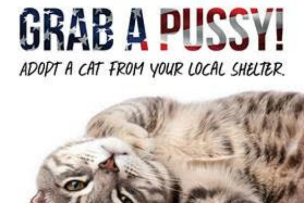 grab a pussy PETA billboard