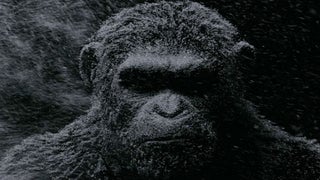 ‘War for the Planet of the Apes’ Teaser Gives Fans First Look at Older, Wiser Caesar (Video)