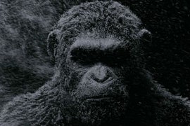 ‘War for the Planet of the Apes’ Teaser Gives Fans First Look at Older, Wiser Caesar (Video)