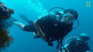 ‘Years of Living Dangerously’: Joshua Jackson Tours Coral Reef Destruction (Exclusive Video)