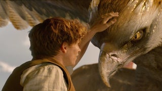 ‘Fantastic Beasts’ Stuffs Suitcase With $75 Million on Box Office Debut