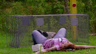 ‘Pit Bulls & Parolees’: What Happens to the Rescue When Tia Is Hospitalized? (Exclusive Video)