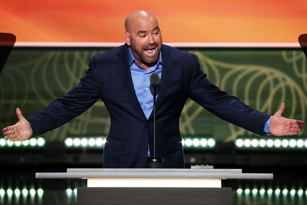 dana white dana white